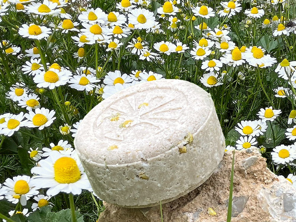 Chamomile - Shampoo Bar