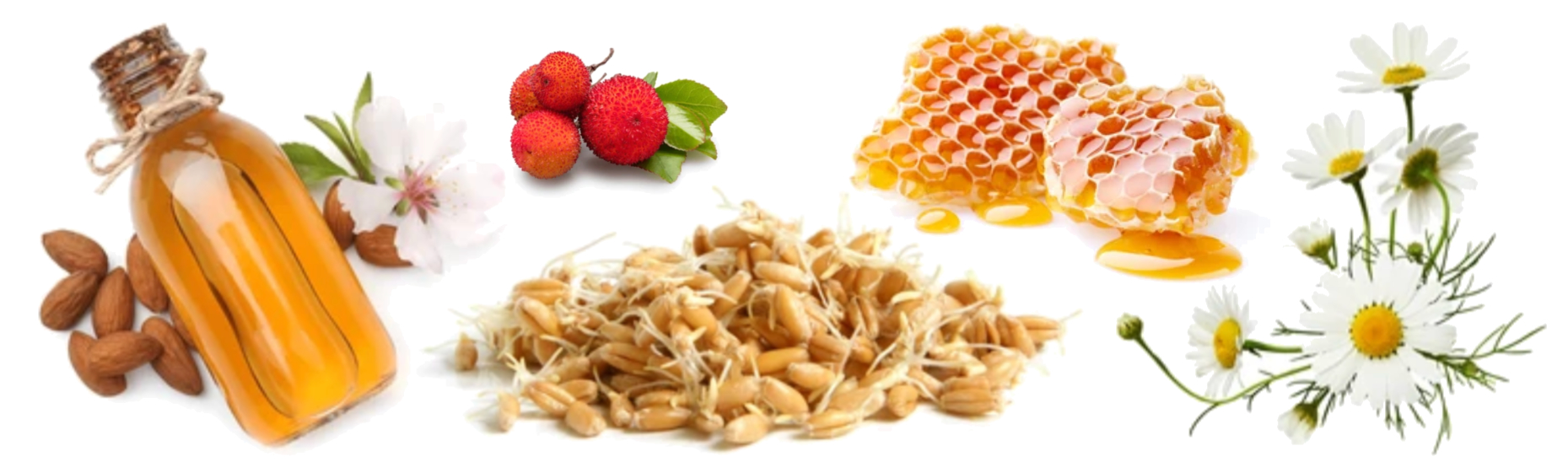 Chamomile Conditioner