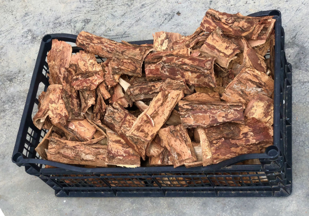 Neem Bark